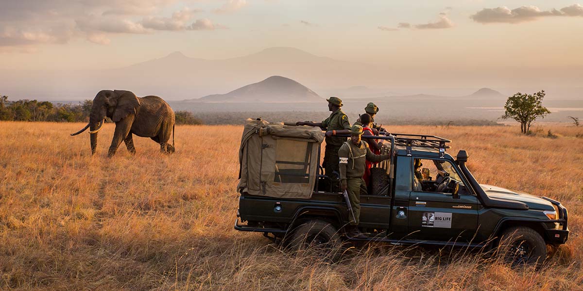 elephant and rangers