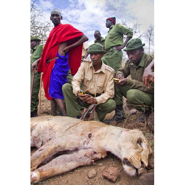 130524 1 1 The Maasai Are Hunting Lions