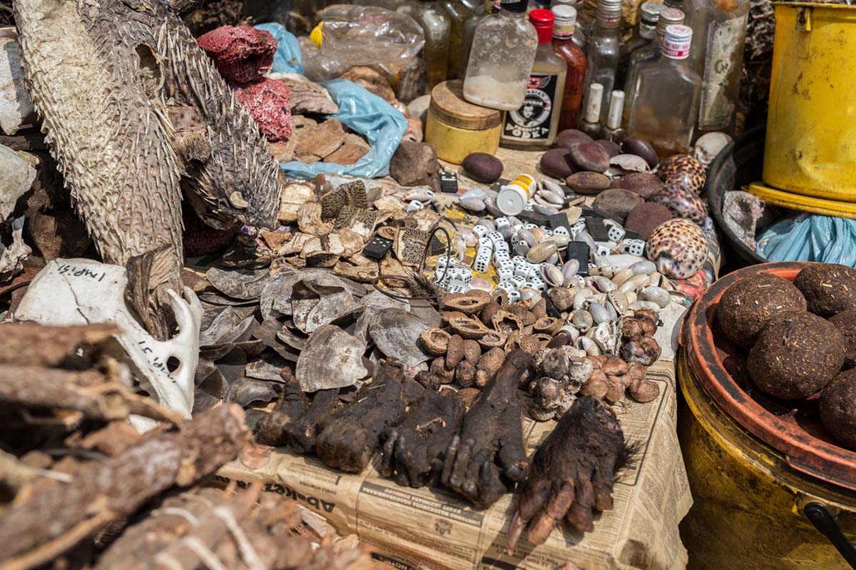 200320 wild animal parts available in public markets