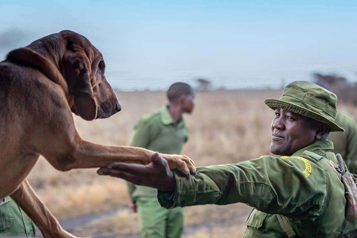 Sergeant Nicholas Mutinda Ndivo and tracker dog