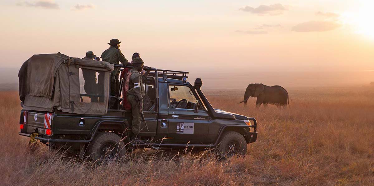 rangers and elephant