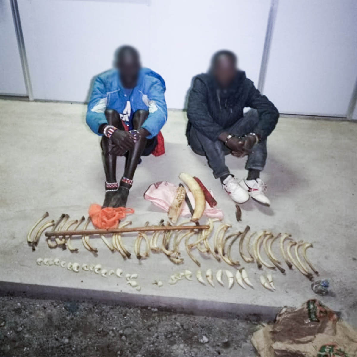 210114 big life rangers catch wildlife traffickers