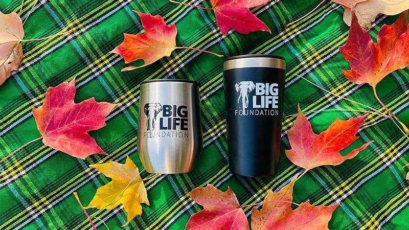 211108 new big life mizu drinkware