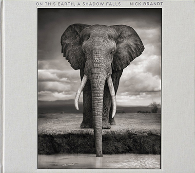 Nick Brandt prints for Big Life - On This Earth